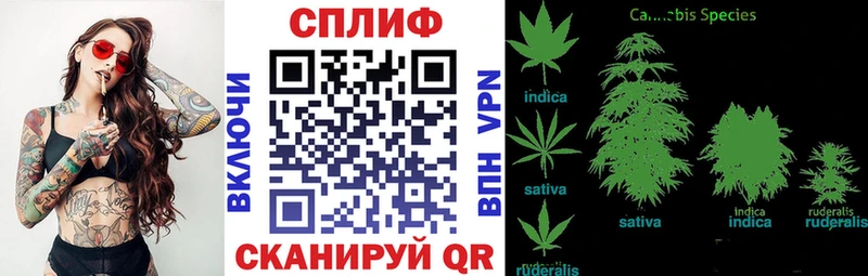 Купить  Кулебаки  Марихуана марихуана 
